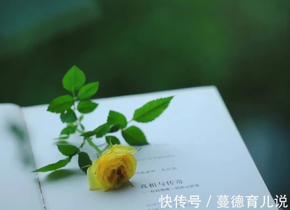 菊花茶|做人16贵,贵在善良;生活16好,好在心态