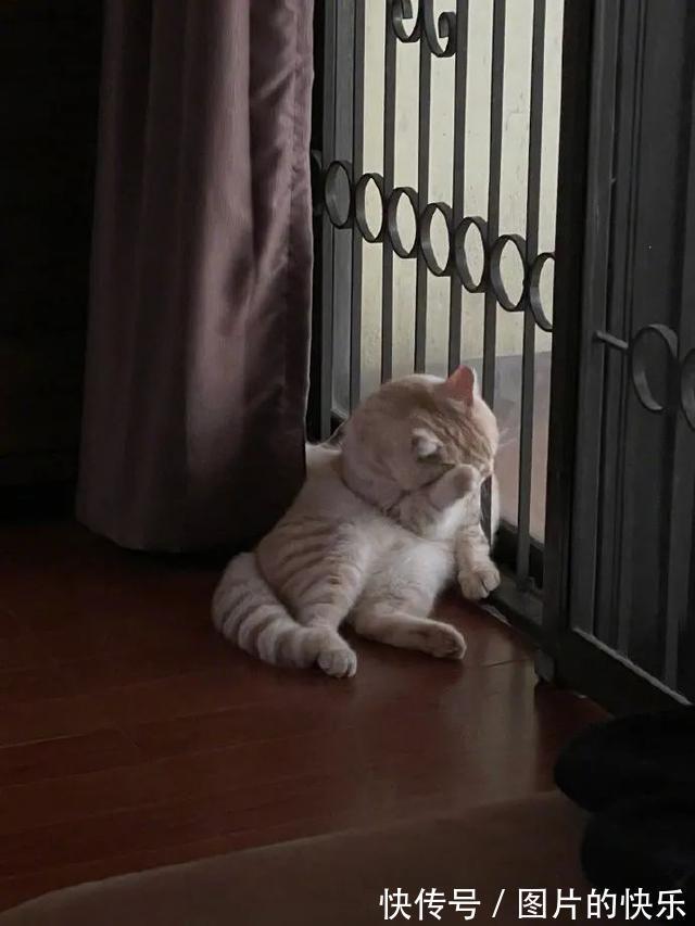 |当你卖掉了前任送的东西  冷段子1805