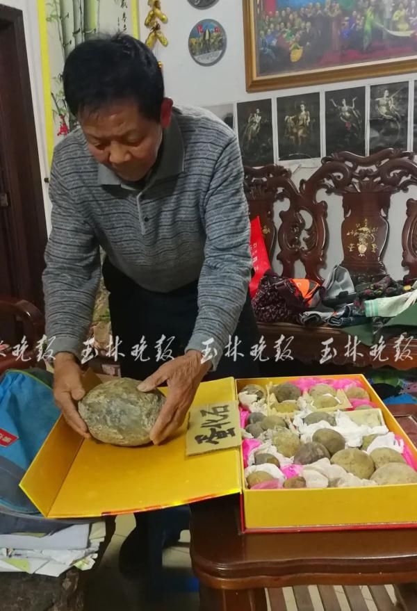 北京自然博物馆|男子收藏50多枚“恐龙蛋化石”？曾有人出价百万收购