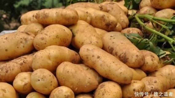 肝脏不好的人记得多吃这些蔬菜,帮你排出肝脏毒素,保护好肝脏