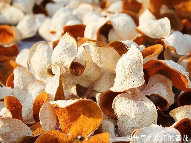 歡樂番茄丨吃完的橘子,皮不要浪費,做成陳皮好處太多!