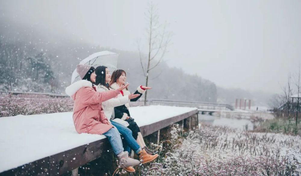 下雪|太美了！月坝下雪啦，刷爆朋友圈！