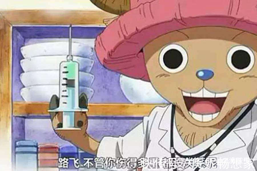 乌索普|如果草帽成员分别成海贼王,他们的宝藏是什么布鲁克One胖次!