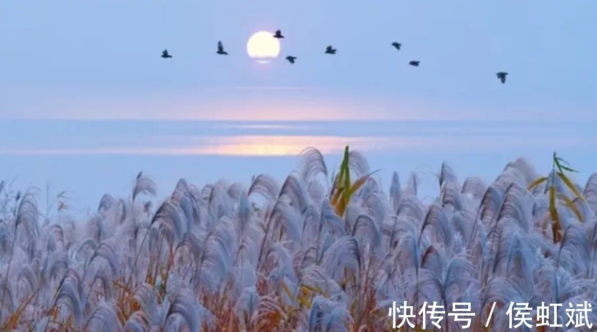 辛弃疾@很适合送别时读的一首宋词,短短4句,就写尽了离别之苦