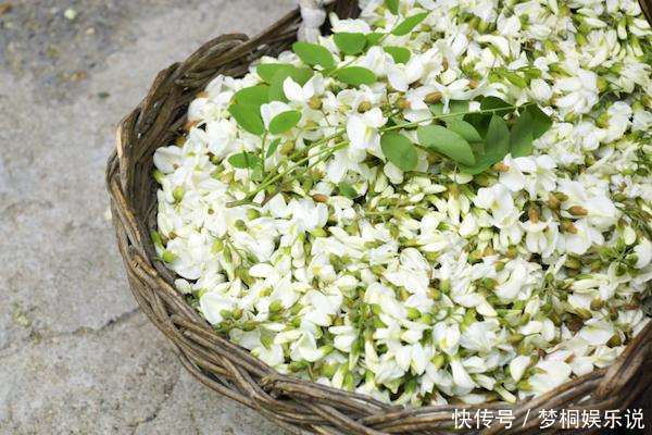 好闻|家里养此5种花,好看好闻,关键花朵还能吃,真是美味!