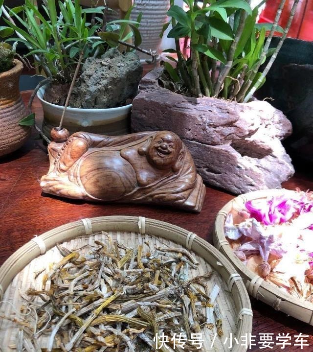 这5种花,个个好滋味,养的旺旺的,开一茬撸一茬,耐看又好吃