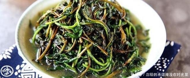 药用价值|农村这4种野菜，不仅好吃，还有很高的药用价值，你吃过几种呢？