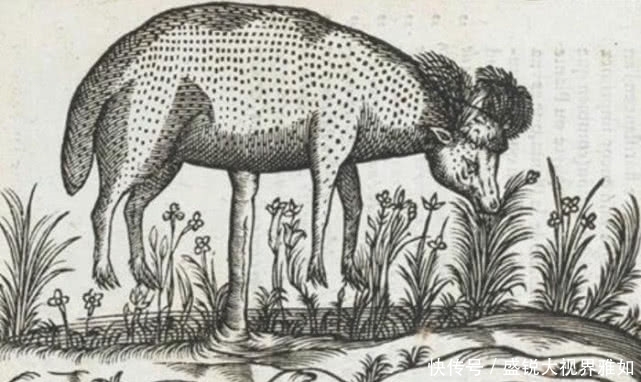 生物|中国五大古怪的神话生物,第二种被人捉住,最后一种是十尾