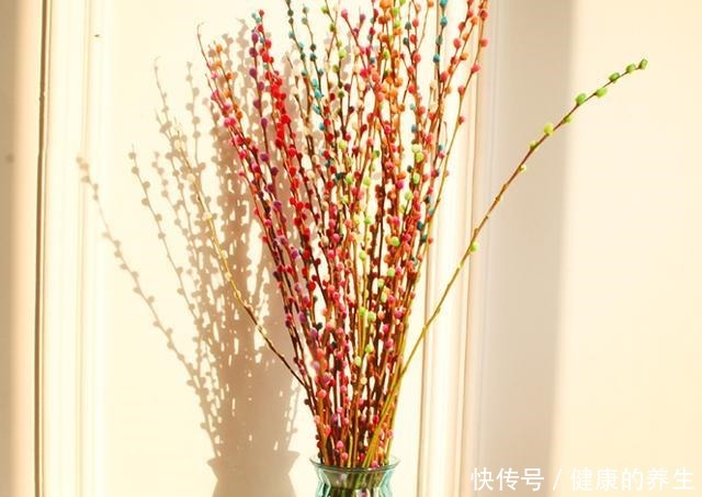 家有银柳,越过越有,这种春节畅销花,有2种打开方式!