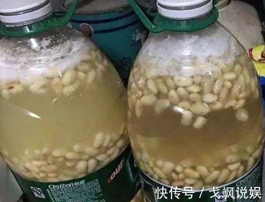 黄豆|用啥水浇花长得快、开花多、虫害少3个妙招,省时省钱又省力