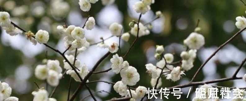 春天里@李煜水平很高的一首词,通篇都在描写忧愁,可是却没有一个愁字!