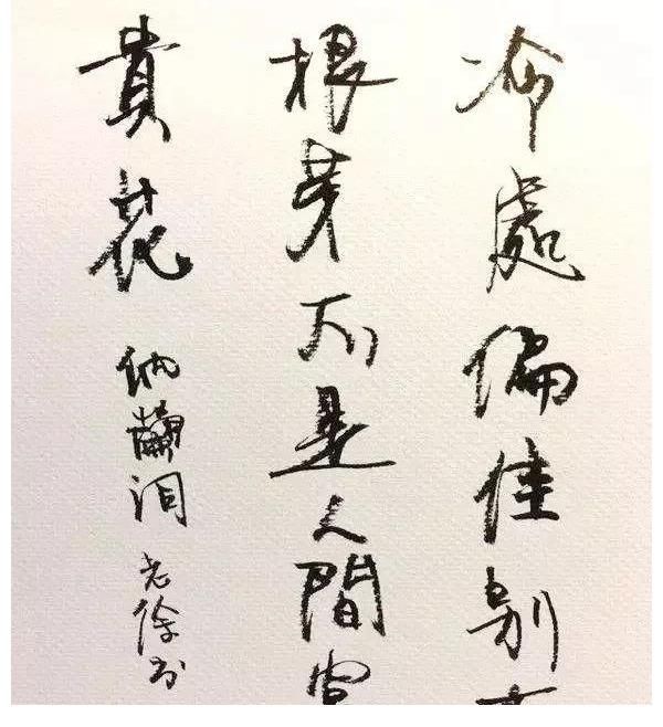 钢笔#“徐静蕾钢笔字帖”曝光,您觉得如何?