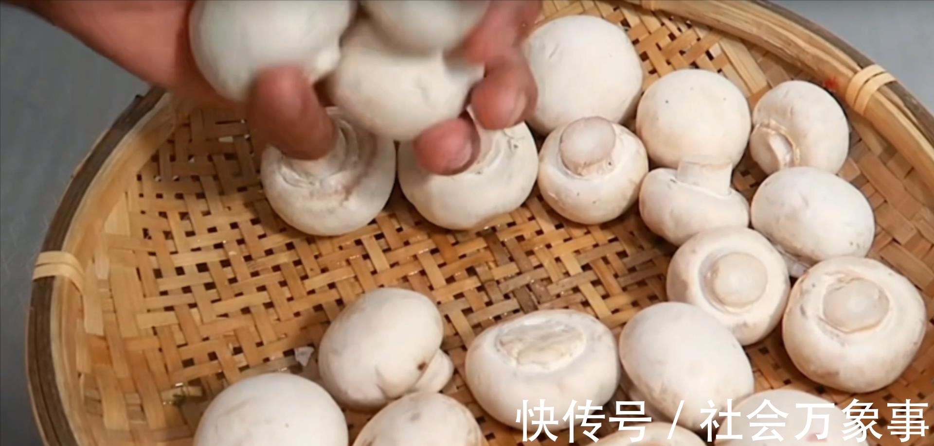 天热|10种夏季应季绿色蔬菜,含锌量媲美猪肉,还不打药,天热可以多吃