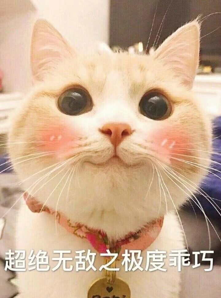 神鹿|王者荣耀 遇见神鹿遇见飞天