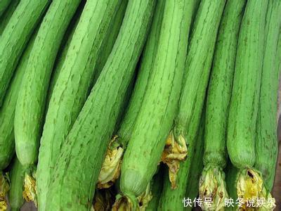 常吃丝瓜对身体好,但丝瓜不能与一物同吃,爱吃的人得忌口了!