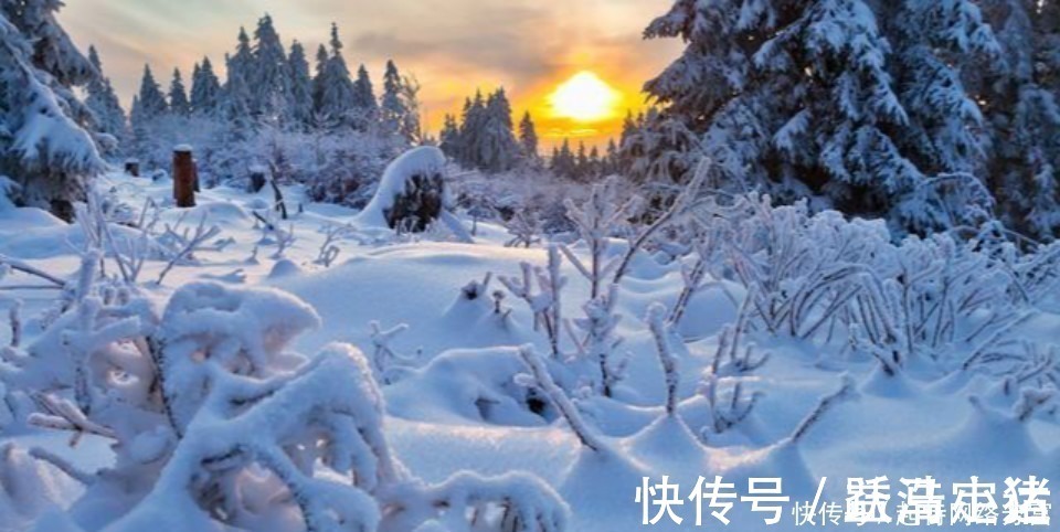 小军官#此人只是一位小军官,却写下一首气势磅礴的诗,读来令人热血沸腾