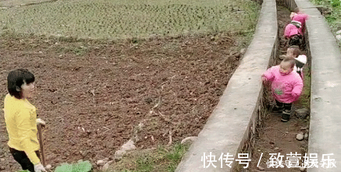 四娃|最勤劳奶奶走红,一人带四胞胎还干农活,网友:这才是“圈养”