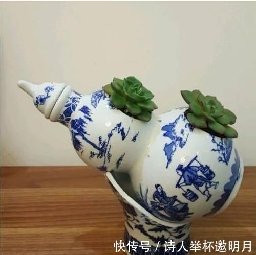 矿泉水瓶|家里的小瓶、小罐别扔了,拿来养花,真是太养眼了!