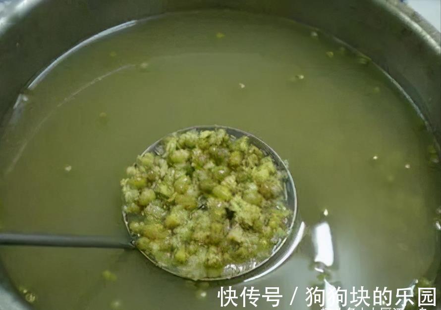 煮绿豆汤|煮绿豆汤,最忌浸泡和直接下锅煮,牢记这2点,绿豆汤好喝不发红