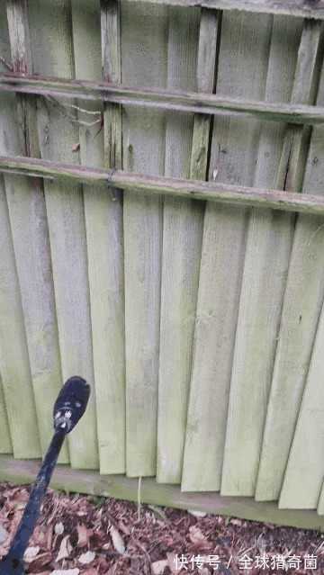 清洗干净|32张高压水枪清洁的瞬间,强迫症表示超酸爽