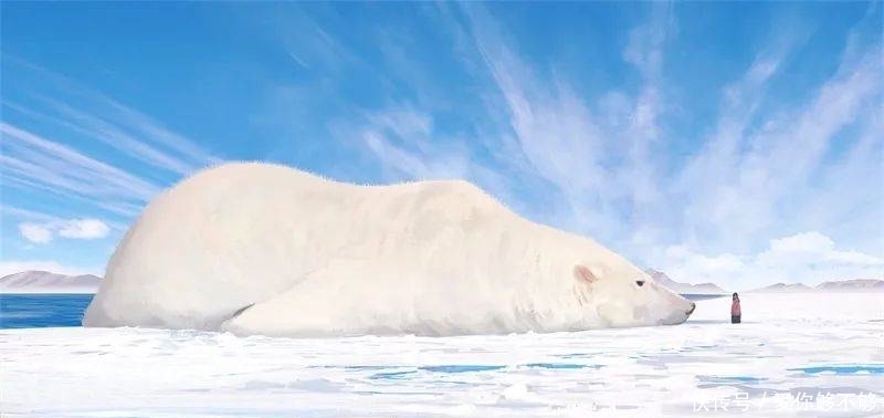 插画|三组各具特色的动物插画,看完很治愈~