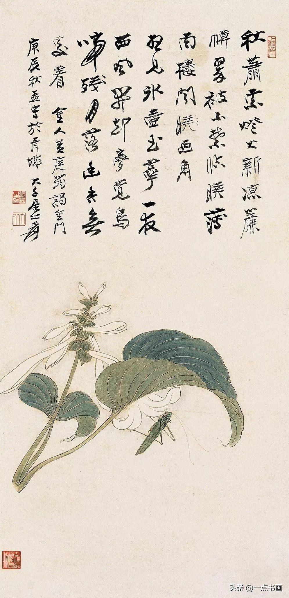 工笔&张大千 花鸟画100幅高清欣赏