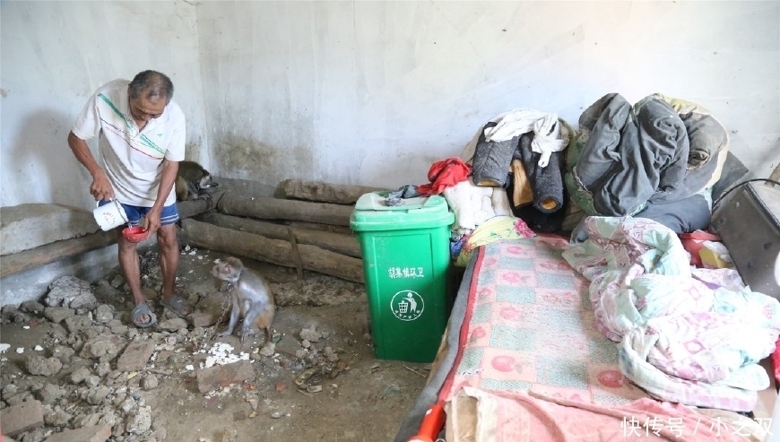 杂技|猴在我在“杂技之乡”的7旬训猴老汉与猴同吃住终生未娶
