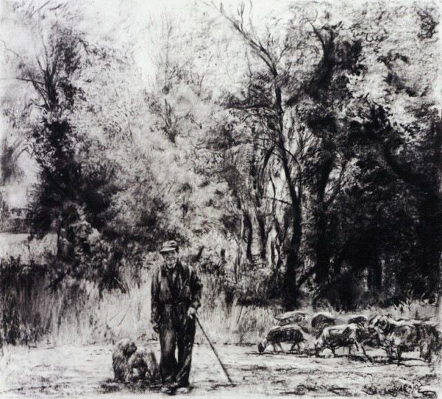 素描&唯美写实的素描,西班牙艺术家Miguel Angel Oyarbid笔下的树