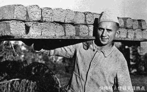 食品|看看吧斯大林格勒战役中士兵们都吃什么有的比你现在吃都还好