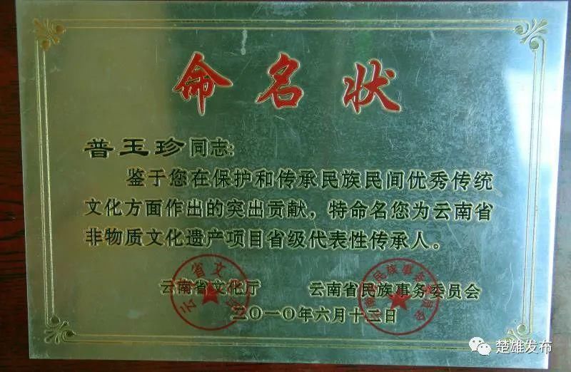  经典|武定彝绣：绽放在布匹上的经典