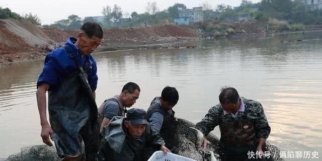 想起|有一种美味叫“年鱼”,能想起的,说明你已经老了!