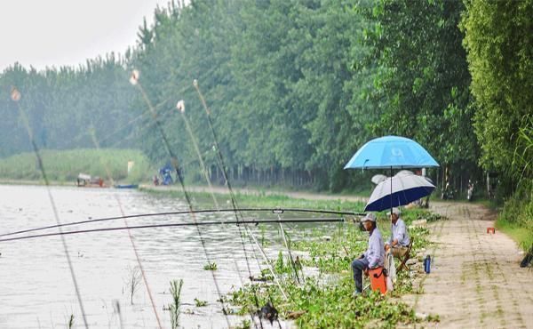 钓鱼|钓鱼时,这些经常搭讪的人,是有“目的”的,你都了解吗