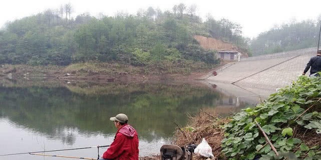 鱼钩|浮漂有动作,提竿却不中鱼,这种情况该如何应对