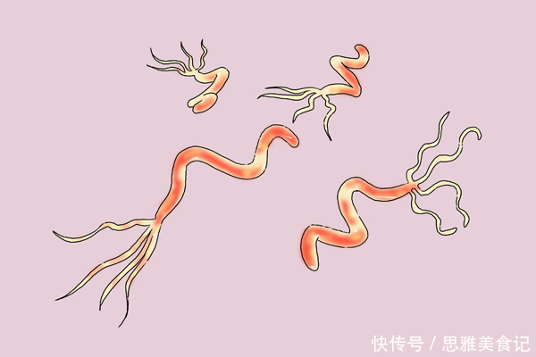 癌细胞|饿治百病,是真的吗?长寿专家直言不讳:四类病真能饿没了