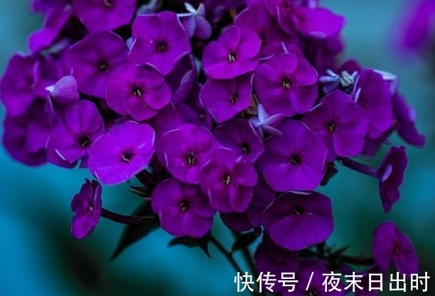 事业|往后8天,秋风送爽,寒风刺骨,前任终回头,事业有成,转身离去