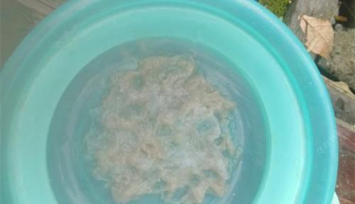 冬季钓鲫鱼,这款自制必杀饵料,助你连竿大板鲫!