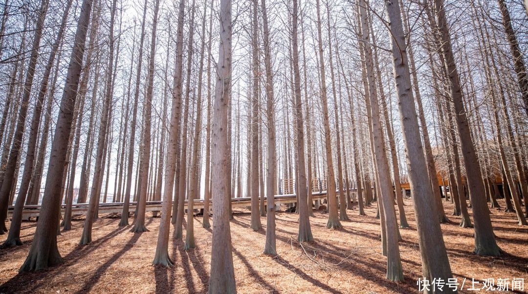 西沙湿地开园啦