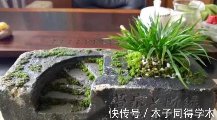 红砖|搬两块砖回家养花吧！过程有趣，效果喜人