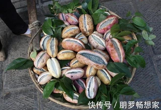 亩产量|农村一种野果,看起来像香蕉,吃一口甜得发腻,老人、小孩都爱吃
