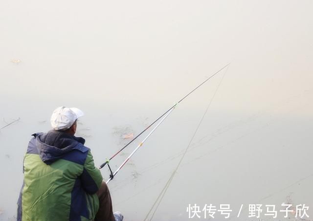 钓位|新手为何经常钓不到鱼我以个人观点为你解惑