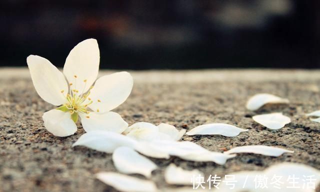 锦瑟@赏八首美到令人窒息的经典古诗词,感受最真挚的情感