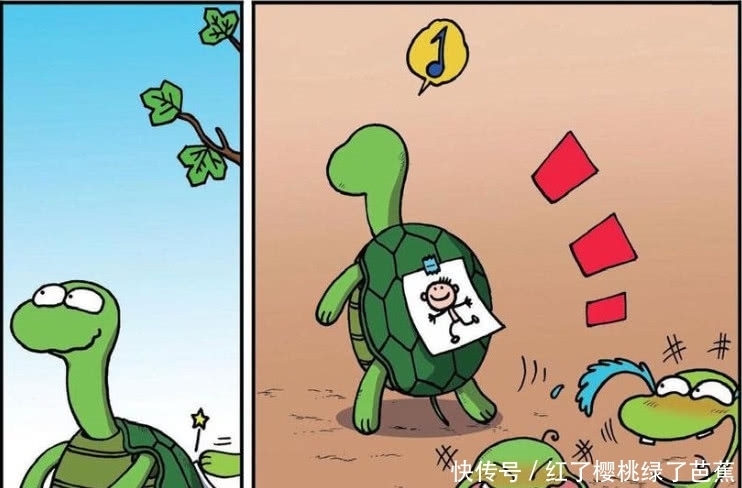 爆笑农场：呆头和小壁虎都有相同的爱好？乌龟和人的区别？