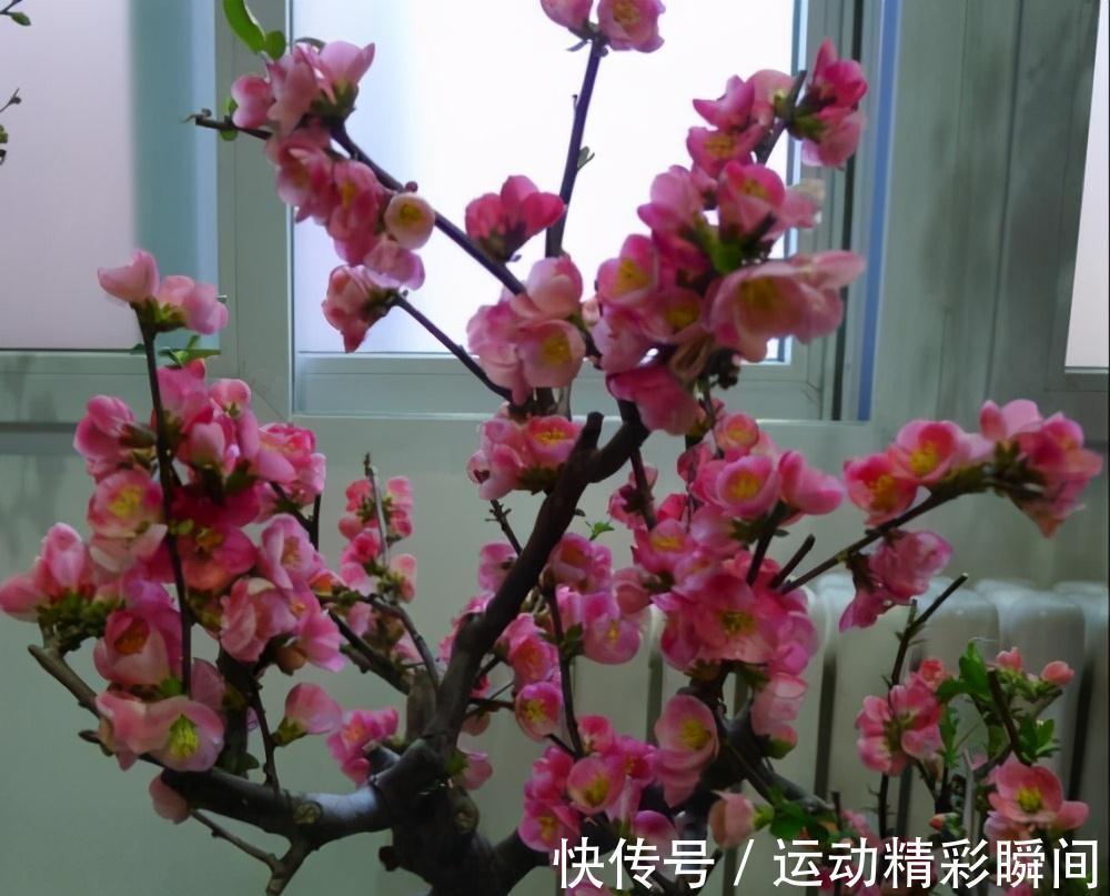 什么氮肥磷肥都不如2种药,水里加1粒秒变万能水,超好用