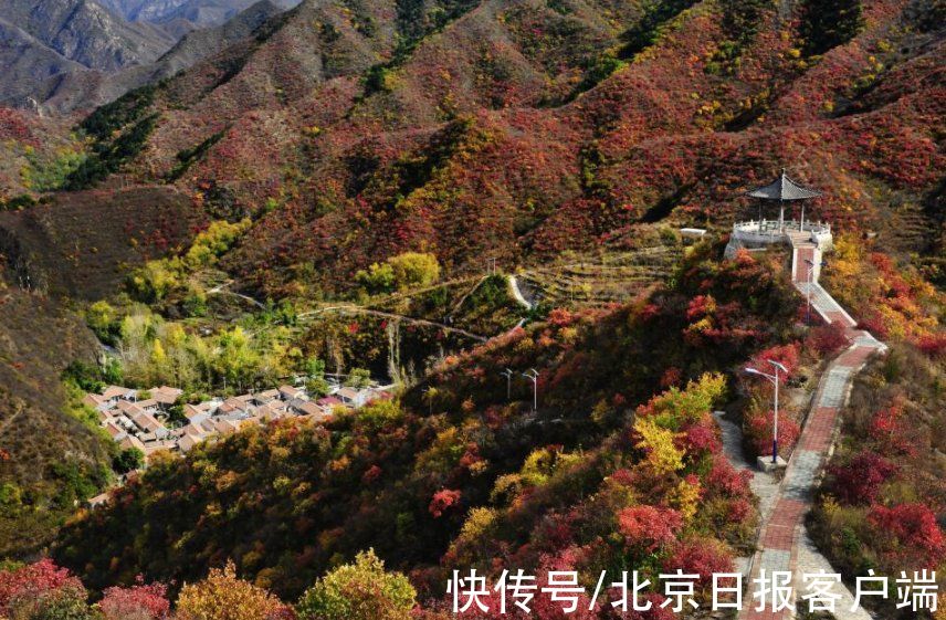 马栏村|沿109国道一路向西！北京唯一的纯山区，一日可赏“万山红遍”