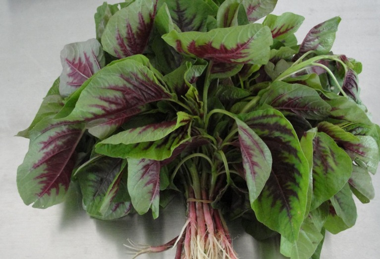 草莓|原来子宫肌瘤怕“它们”,女人三天两头食用,子宫肌瘤全不见