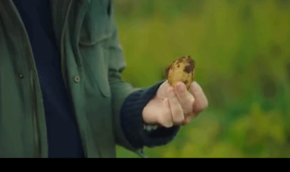 養(yǎng)羊|9.6分,這節(jié)目可把大明星虐爽了