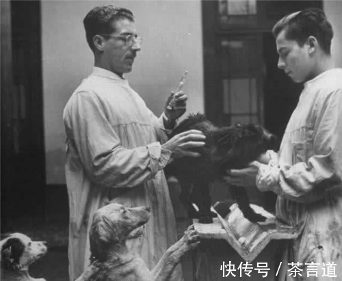 何拉多|医学奇闻:八个月出现生理期,5岁怀孕?孩子到底是怎么生下来的