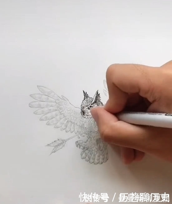 射雕英雄|美术生画射雕英雄，网友以为是郭靖，成品却是受伤的小鸟