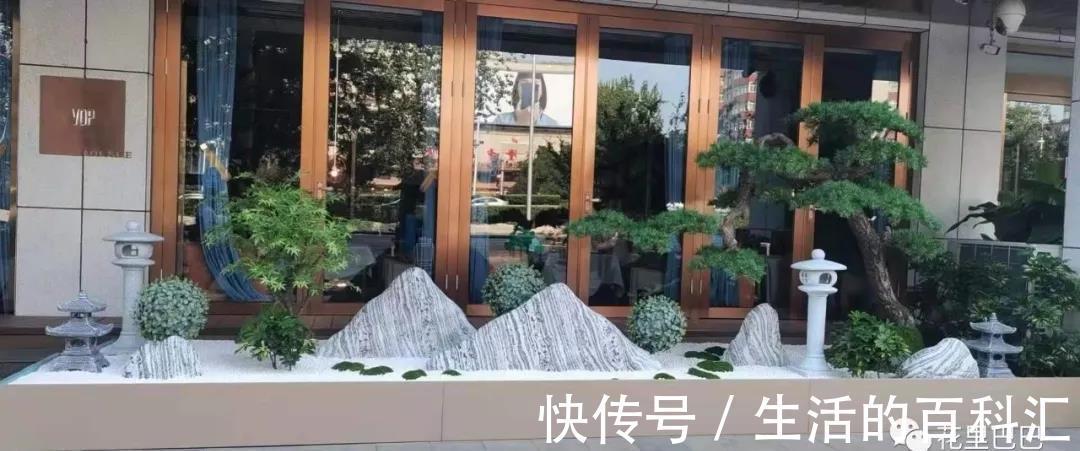 场景|绿植花卉,本草于一个家,可闻香,可观赏,可入画,可成香