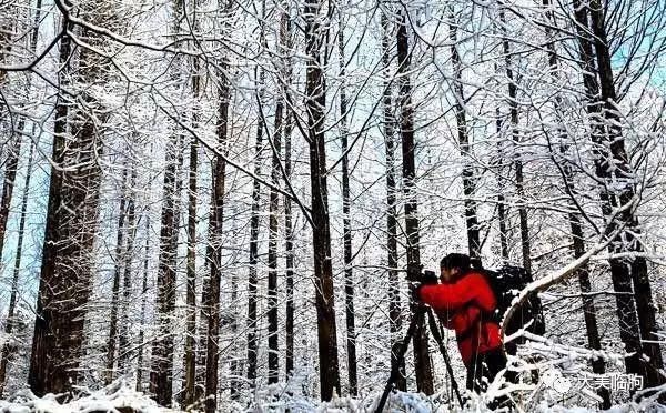 淹子岭的雪，太美了！